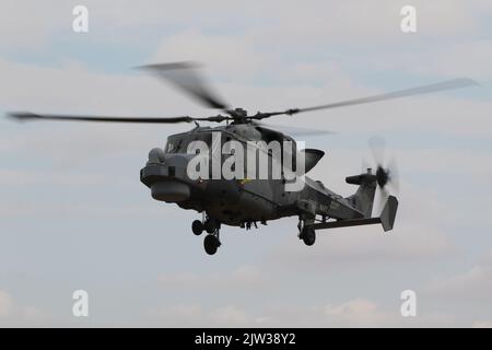 ZZ377, eine von der Royal Navy betriebene AgustaWestland Wildcat HMA2, die in RAF Fairford in Gloucestershire, England, ankommt, um an der Royal International Air Tattoo 2022 (RIAT 2022) teilzunehmen. Stockfoto