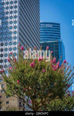 La Place basse Garden, Grünfläche im Zentrum von AX of La Defense, einem großen Geschäftsviertel, das 3 Kilometer westlich der Stadtgrenze von Paris, Fran, liegt Stockfoto