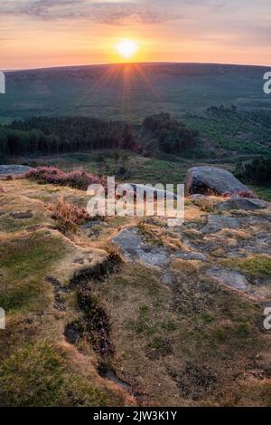 Atemberaubender spätsommerlicher Sonnenaufgang im Peak District über blühenden Heidefeldern rund um Higger Tor und Burbage Edge Stockfoto