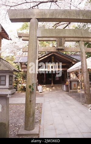 Kleiner Schrein in Kyoto Stockfoto