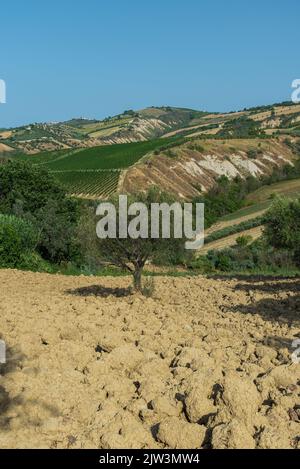 Abruzzen ist eine italienische Region östlich von Rom, zwischen der Adria und dem Apennin. Stockfoto