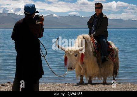 Touristen und Yaks in Nam Tso Lake (Nam Co) in Nyainqentanglha Mountains, Tibet. Der Rückgang der Temperaturen mit dem daraus resultierenden Rückgang des Schneefalls endet Stockfoto