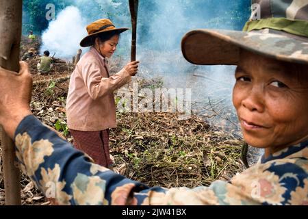 Die entwaldung. Die lokale Bevölkerung clearing Wald für Ackerbau im ländlichen Süden von Laos South East Asia Stockfoto