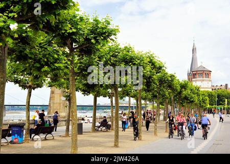 Rheinpromenade in Düsseldorf mit schönen alten Platanen. Historisches Schloss Turm im Hintergrund. Stockfoto