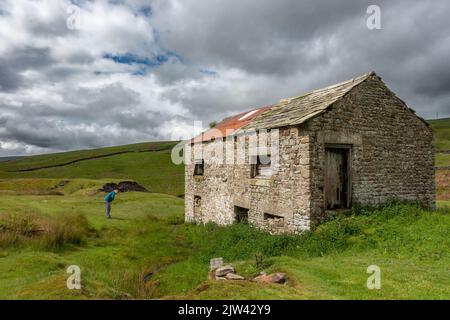 Tourist untersucht eine sonnenbeleuchtete alte Steinscheune im Tal von Hudeshope Beck in der Nähe von Middleton-in-Teesdale, Country Durham, England, Großbritannien Stockfoto