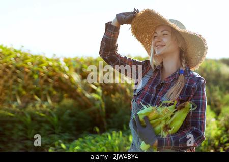 Mais. Junge Bäuerin lächelt und erntet Mais. Eine schöne Frau auf dem Hintergrund des Feldes hält die Maiskolben. Landwirtschaft und Stockfoto