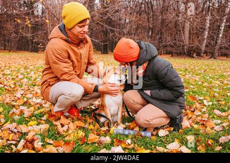 Familie liebevoll streicheln Hund auf dem Kopf. Aufrichtige Freundschaft mit Haustier. Akita Inu Rasse. Psychische Gesundheit und Stress lindern durch Haustier. Die Menschen umarmen Hund. Herbstwal Stockfoto