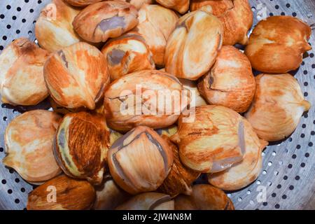 Eisäpfel, auch bekannt als Palmyra aus einem Palmenbaum. Toddy munjal Stockfoto