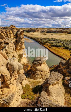 Verwitterte Sandstein Felsformationen entlang der Milk River in Writing-On-Stein Provinvial Park, Alberta Stockfoto