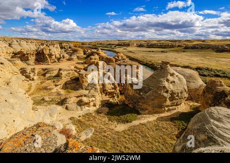 Verwitterte Sandstein Felsformationen entlang der Milk River in Writing-On-Stein Provinvial Park, Alberta Stockfoto