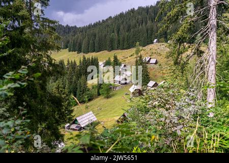 Seit Jahrhunderten sind Hirtenhütten jeden Sommer im Einsatz. Ein paar Monate bleiben der Hirte und das Vieh auf den Bohinjer Hochebenen. Stockfoto