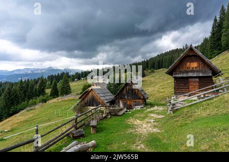 Seit Jahrhunderten sind Hirtenhütten jeden Sommer im Einsatz. Ein paar Monate bleiben der Hirte und das Vieh auf den Bohinjer Hochebenen. Stockfoto