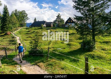 Seit Jahrhunderten sind Hirtenhütten jeden Sommer im Einsatz. Ein paar Monate bleiben der Hirte und das Vieh auf den Bohinjer Hochebenen. Stockfoto