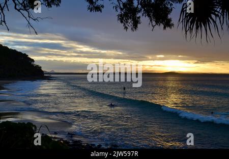 Surfer und Paddleboard Genießen Sie das letzte bisschen Sonnenuntergang und Abendlicht am Strand und den Wellen des Meeres in Granite Bay im Noosa Heads National Park Stockfoto