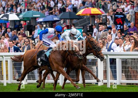 Ascot, Bergen, Großbritannien. 3.. September 2022. In einem angespannten und spannenden Rennen zwischen drei Pferden gewann Urban Sprawl (Mitte von drei) unter Jockey David Probert das Victoria Racing Club Nursery Handicap Stakes The Ascot Races September Racing Weekend. Besitzer Sheikh Hamdan Bin Mohammed Al Maktoum. Trainer Charlie und Mark Johnson, Middleham. Züchter Godolphin. Quelle: Maureen McLean/Alamy Live News Stockfoto