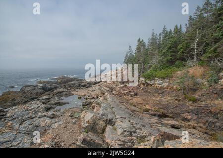 Ein nebliger Morgen entlang der felsigen Küste von Maine im Acadia National Park, Mount Desert Island, Maine, USA, vom Ocean Path Trail aus gesehen Stockfoto