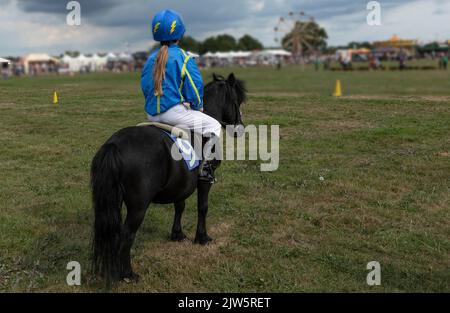 Junge Person in blau und gelb gekleidet als Jockey auf einem schwarzen Pony Stockfoto