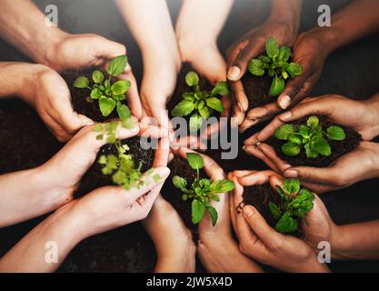 Liebe Menschheit, gib Grün eine Chance. Mit freundlichen Grüßen, Mutter Natur. Eine Gruppe von Menschen, die Pflanzen halten, die aus dem Boden wachsen. Stockfoto