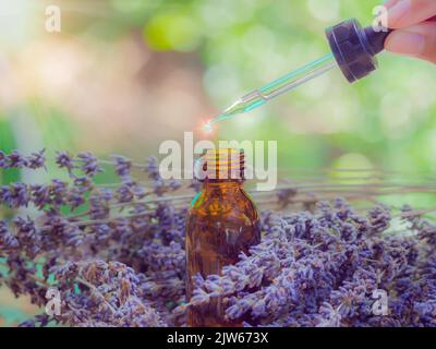 Lavendelextrakt in kleiner Flasche nahe blühendem Lavendel auf Holztisch mit Aromatherapie. Ätherisches Öl, das von der Glastropfer in Bio-Bio fällt Stockfoto