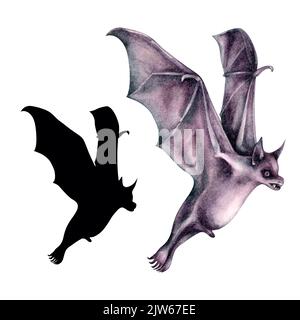 Fledermaus 1 mit Schatten aus der Familie der Halloween-Fledermäuse. Handbemalt in Aquarell. Elemente auf weißem Hintergrund isoliert. Stockfoto