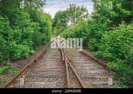 Rusty verlassene Eisenbahnen auf verfaulten hölzernen Eisenbahnsabledern Stockfoto