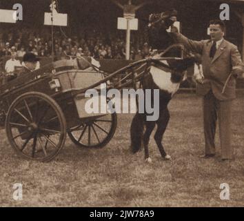 Die Karnevalsprozession führt durch die Straßen von Utrecht Stockfoto