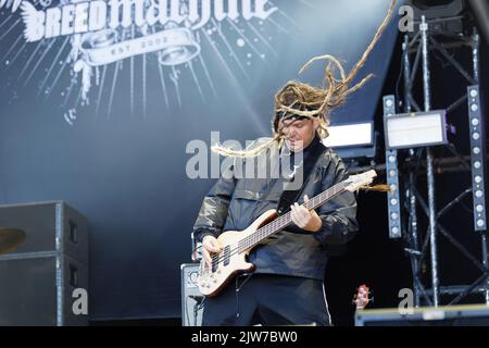 BREED MASCHINE HELLFEST, Clisson, FRANKREICH, 23/06/2018 Florent 'MrCrash' B. Stockfoto