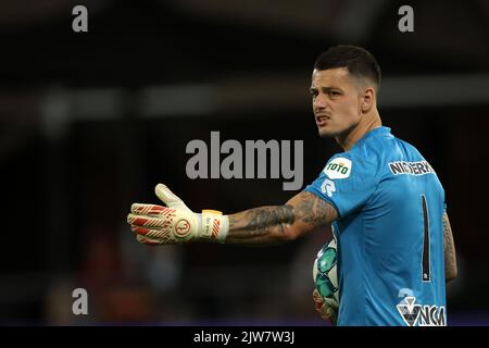 ROTTERDAM - Nick Olij von Sparta Rotterdam während des niederländischen Eredivisie-Spiels zwischen Sparta Rotterdam und FC Volendam am 3. September 2022 im Sparta Stadium Het Kasteel in Rotterdam, Niederlande. ANP JEROEN PUTMANS Stockfoto