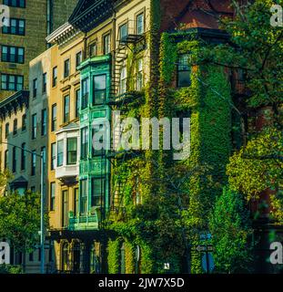 New York, 1980er, efeubewachsene Häuser aus Sandsteinen, Nottreppe, Wohngegend, Brooklyn Heights, New York City, NYC, NY, USA, Stockfoto