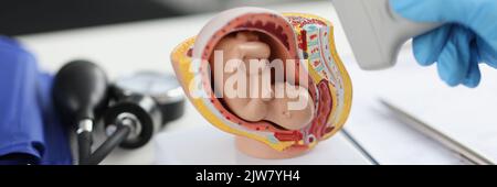 Arzt, der den Schallkopf für die Ultraschalluntersuchung vor einem künstlichen Modell des menschlichen Eötus in der Nahaufnahme des Uterus hält Stockfoto