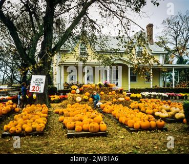 New York, 1980s, Junge, der Kürbisse vor dem Haus verkauft, The Hamptons, Long Island, New York State, NY, USA, Stockfoto