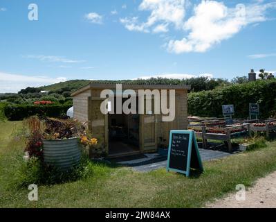 Fudge Stall, Veronica Farm, Bryher, Isles of Scilly, Cornwall, England, Großbritannien. Stockfoto