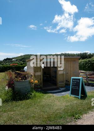 Fudge Stall, Veronica Farm, Bryher, Isles of Scilly, Cornwall, England, Großbritannien. Stockfoto