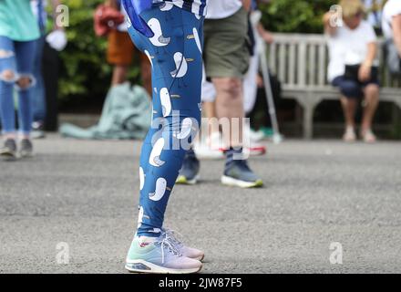 Brighton und Hove, Großbritannien. 4. September 2022. Ein Fan von Brighton und Hove Albion trägt Leggings mit Seagulls während des Premier League-Spiels im AMEX Stadium, Brighton und Hove. Bildnachweis sollte lauten: Paul Terry/Sportimage Kredit: Sportimage/Alamy Live News Stockfoto