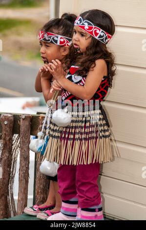 Eine kleine Gruppe von Maori-Kindern, die in ihrem traditionellen Tanzkleid gekleidet waren, beobachtete das kulturelle Tanzkonzert ihrer Eltern für Besucher des New Stockfoto