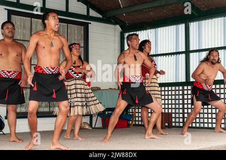 Maori-Tänzer in ihrem traditionellen Tanzkleid bei einem kulturellen Tanzkonzert mit dem Haka für Besucher, die das einzige Leben Neuseelands besuchen Stockfoto