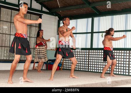 Maori-Tänzer in ihrem traditionellen Tanzkleid bei einem kulturellen Tanzkonzert mit dem Haka für Besucher, die das einzige Leben Neuseelands besuchen Stockfoto