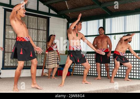 Maori-Tänzer in ihrem traditionellen Tanzkleid bei einem kulturellen Tanzkonzert mit dem Haka für Besucher, die das einzige Leben Neuseelands besuchen Stockfoto