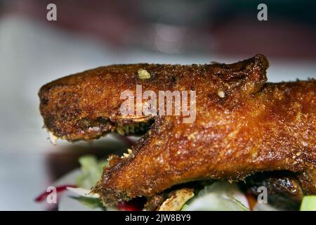 Blick auf einen Kopf eines gegrillten Guineaschweins aus Ecuador Stockfoto