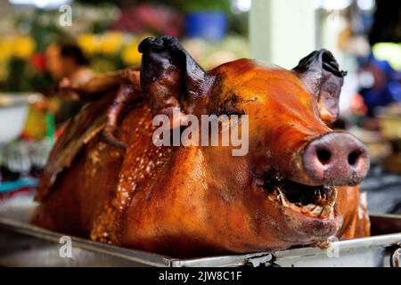 Ein Blick auf ein gegrilltes Schwein aus Ecuador auf einem festlichen Tisch Stockfoto