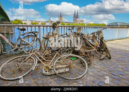 Köln, Deutschland - Juli 9. 2022: Stapeln Sie viele alte, matschig rostige Fahrräder, die ins Rheinwasser geworfen und dann gerettet wurden Stockfoto