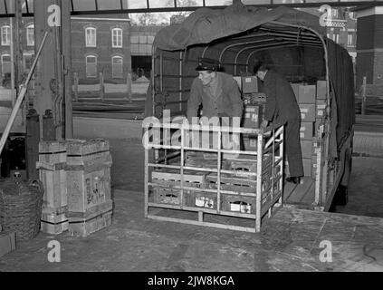 Bild der Überladung von Stückgut von einem LKW auf dem Schuppen von Van Gend & Loos in Nijmegen. Stockfoto