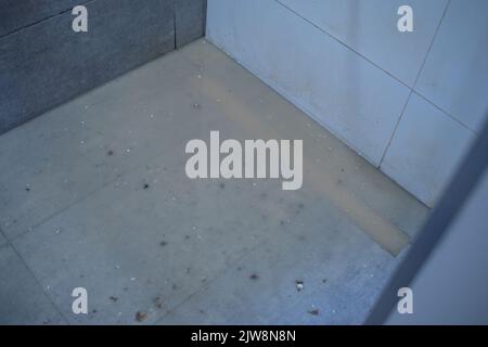 Verstopfter Abfall im Badezimmer. Stockfoto