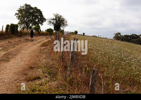 Pilgerfahrt entlang des Chemin du Puy, der französischen Route des Jakobswegs Stockfoto