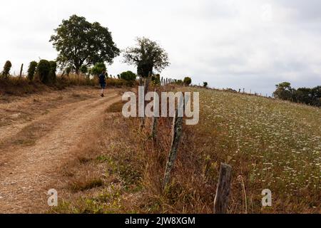 Pilgerfahrt entlang des Chemin du Puy, der französischen Route des Jakobswegs Stockfoto