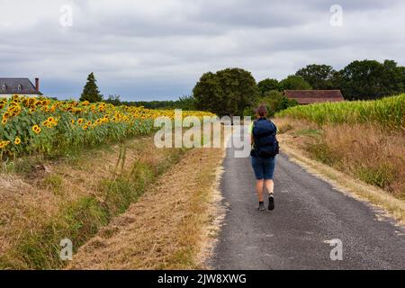 Pilgerfahrt entlang des Chemin du Puy, der französischen Route des Jakobswegs Stockfoto