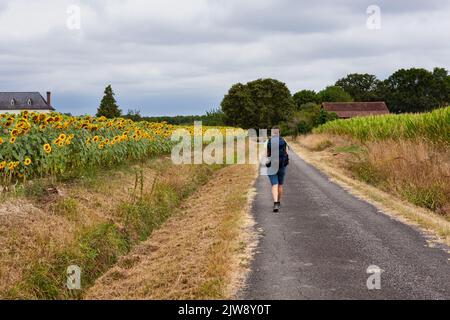 Pilgerfahrt entlang des Chemin du Puy, der französischen Route des Jakobswegs Stockfoto