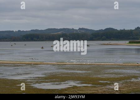 Chew Valley, Großbritannien. 04. September 2022. An einem sehr feuchten Nachmittag zeigt der Chew Valley See, der einmal voll mit Wasser war, jetzt Anzeichen von mangelndem Regenwasser. Bildquelle: Robert Timoney/Alamy Live News Stockfoto