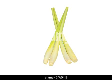 Zitronengras oder Lapine Zitronengras, isoliert auf weißem Hintergrund wird als Lebensmittelzutat verwendet, da es viele Arten von essentiellen Mineralien gibt Stockfoto