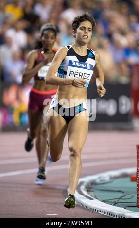 Marta Perez aus Spanien, die während des Allianz Memorial Van Damme 2022, Teil der Diamond League Serie 2022 bei King Baudoui, bei den Frauen 1500m teilnimmt Stockfoto